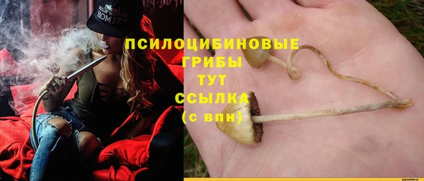 стаф Лихославль