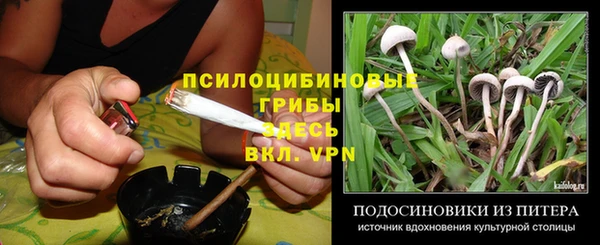 прущие крисы Пролетарск